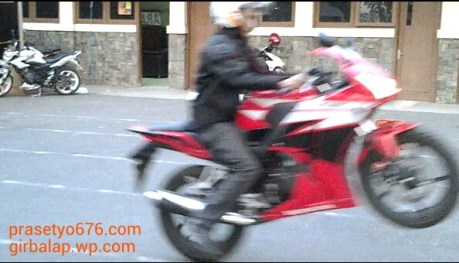 IMG_20141011_060743.jpg image